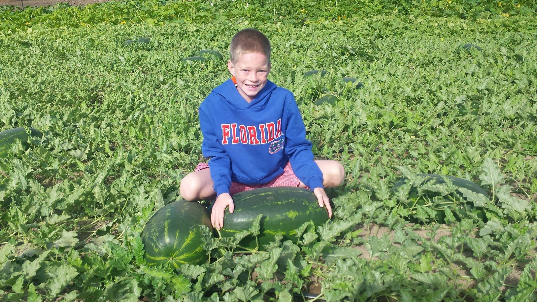 Young boy sitting in a watermelon field, smiling while holding two large watermelons, surrounded by lush green vines and leaves.